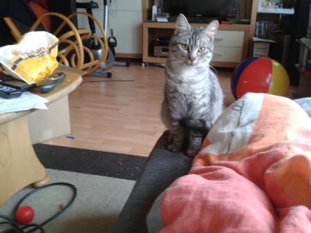 Bild zu 