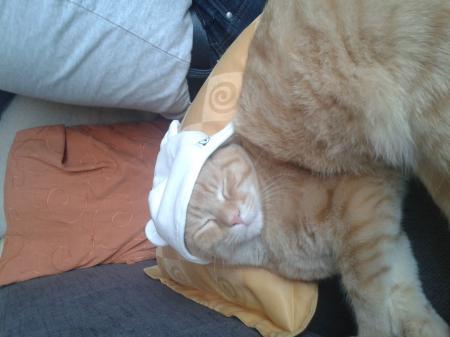Bild zu 