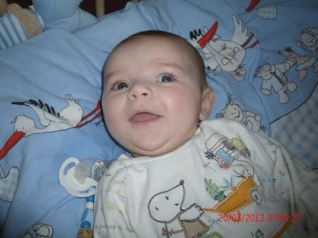 Bild zu