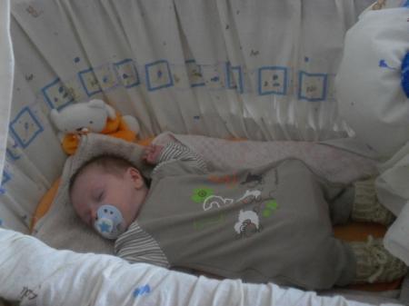 Bild zu