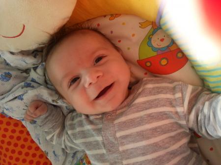 Bild zu