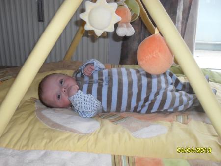 Bild zu 