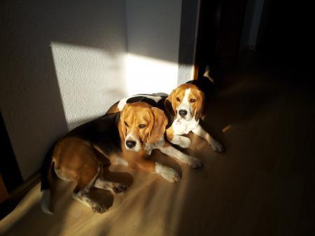 Bild zu