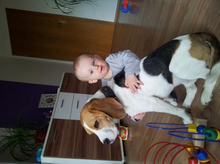 Bild zu