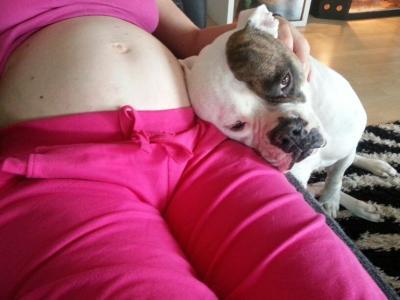 Bild zu was ist denn da in deinem bauch? - Forum für Dezember - Mamis