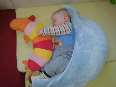 Bild zu Mittagsschlaf... - Forum für Dezember - Mamis