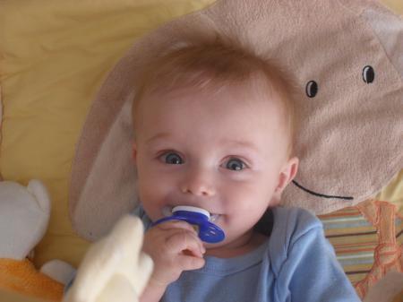 Bild zu 
