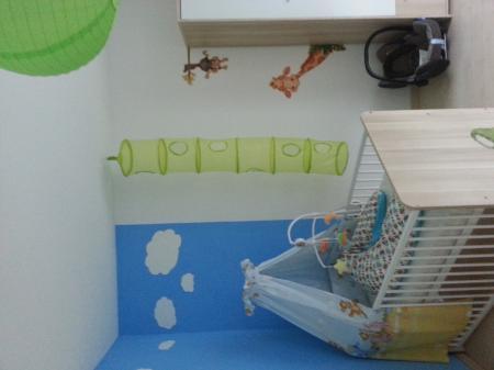Bild zu