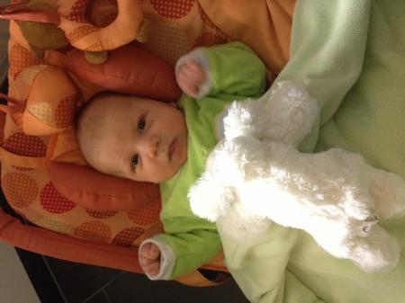 Bild zu