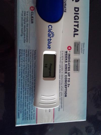 Bild zu clearblue - Forum für Dezember - Mamis