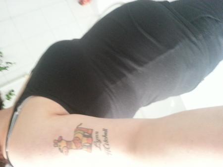Bild zu