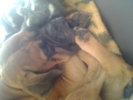 Bild zu 