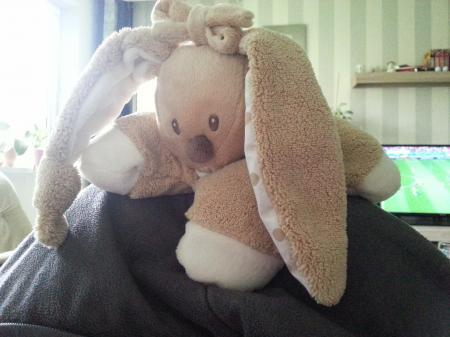 Bild zu 