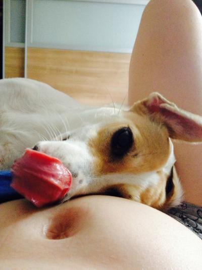 Bild zu Mein Hund hat grad mal gelauscht ^^ - Forum für Dezember - Mamis