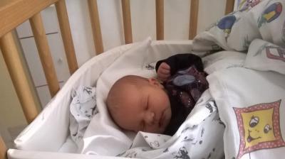 Bild zu Baby ist da - Forum für Dezember - Mamis
