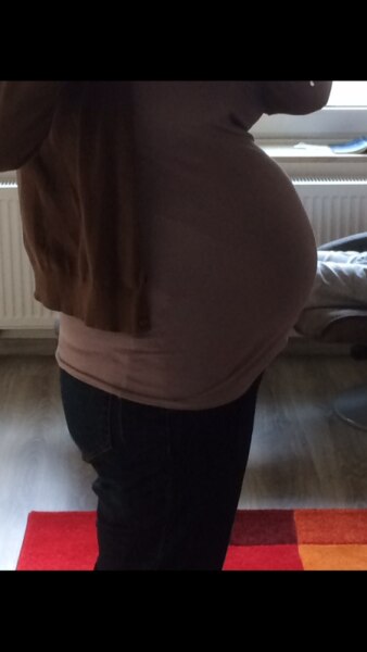 Bild zu 