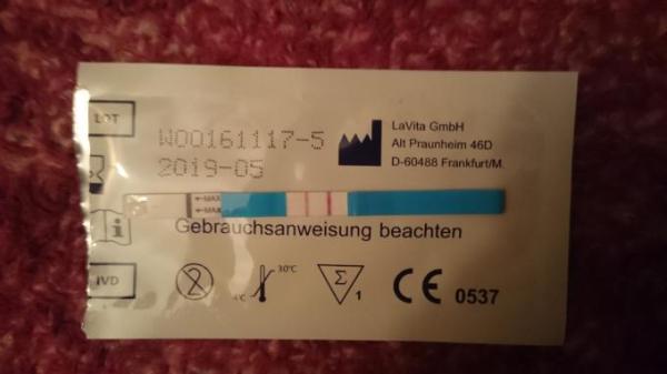 Bild zu 