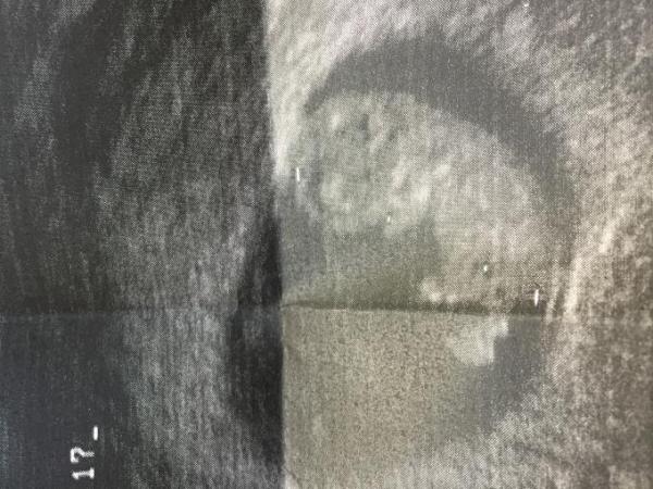 Bild zu Einen schönen guten Abend - Forum für Dezember - Mamis