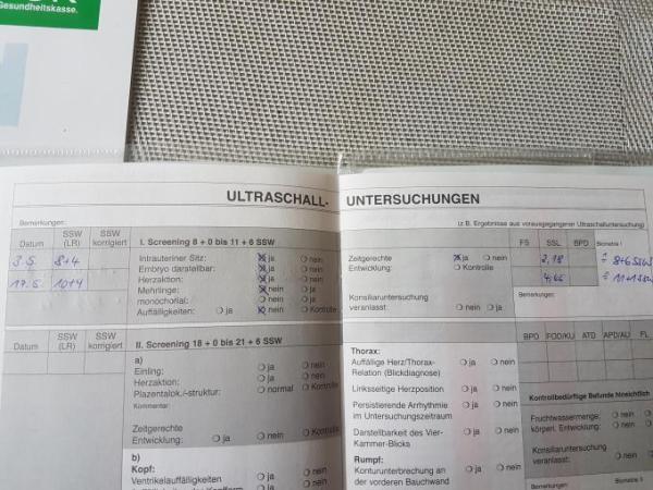 Bild zu 