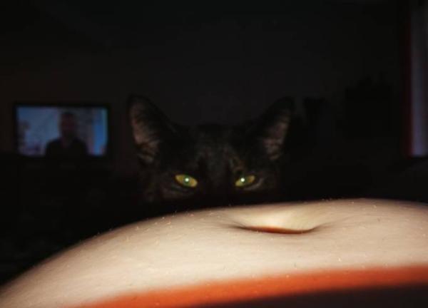 Bild zu Tierische Inspektion :D - Forum für Dezember - Mamis
