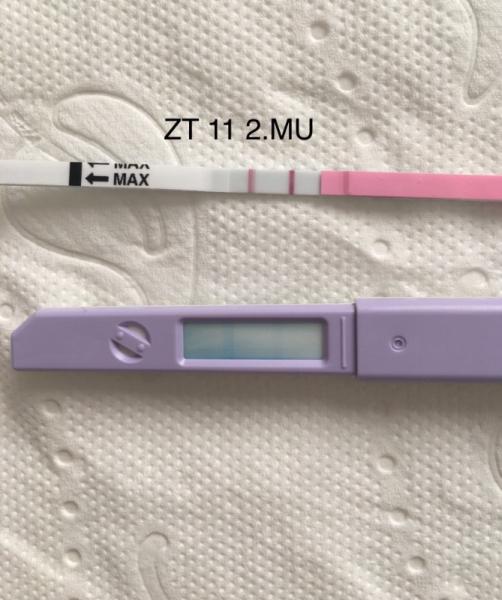 Bild zu Wer ist denn noch kurz vor’m ES? - Forum für Dezember - Mamis