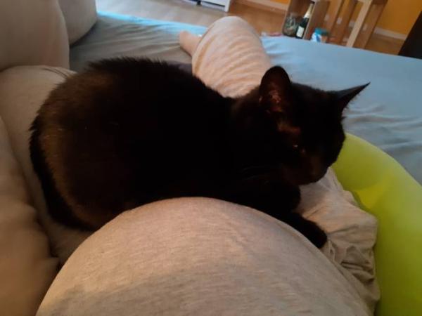 Bild zu Babykuschelzeit - Forum für Dezember - Mamis