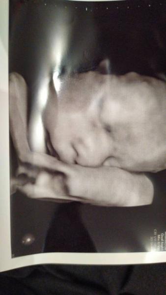 Bild zu Und ab in den Mutterschutz... - Forum für Dezember - Mamis