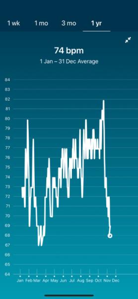 Bild zu Fitnesstracker und Schwangerschaft - Forum für Dezember - Mamis