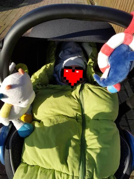 Bild zu