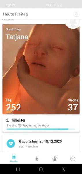 Bild zu