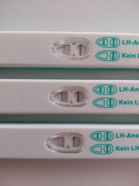 Bild zu Keinen Eisprung gehabt? - Forum für Dezember - Mamis