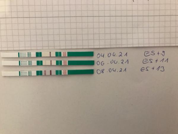 Bild zu Z1 Pharma 3. Generation - Forum für Dezember - Mamis