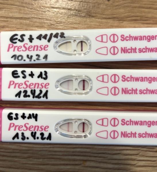 Bild zu Der Krümel beisst sich gut fest 😀 - Forum für Dezember - Mamis