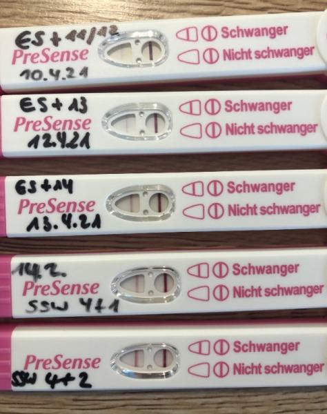 Bild zu Und schon kommt die Übelkeit - Forum für Dezember - Mamis