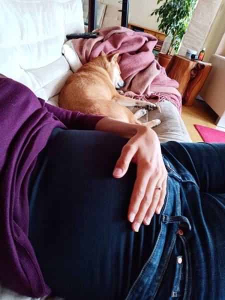 Bild zu