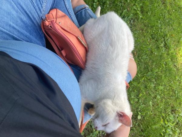 Bild zu 