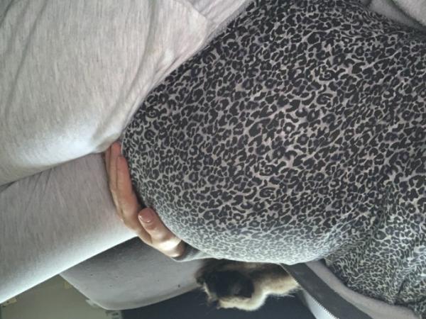 Bild zu 