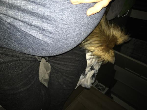 Bild zu 
