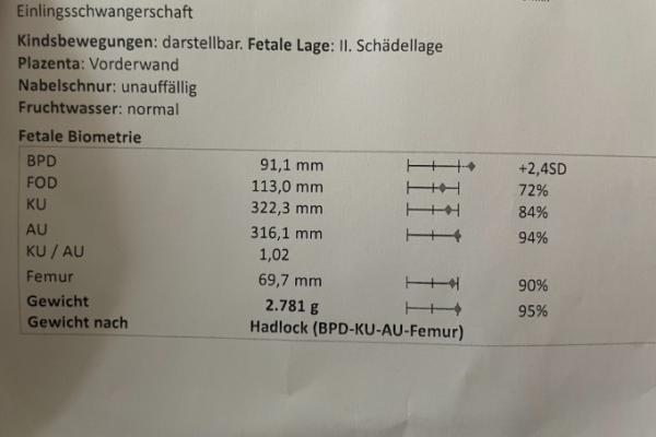 Bild zu 