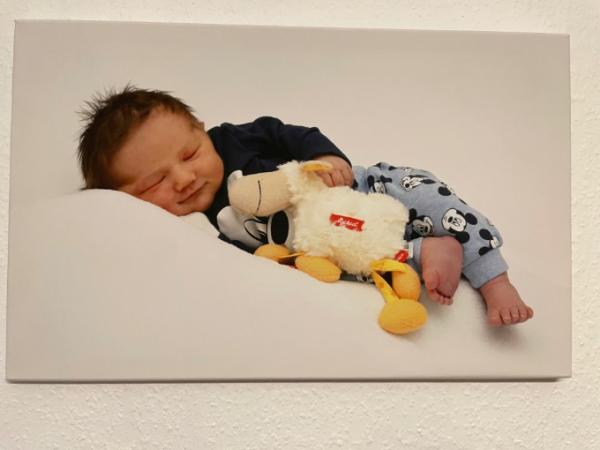 Bild zu