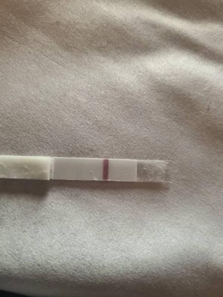 Bild zu Erfahrung mit test von Dr bosshammer siehe bild - Forum für Dezember - Mamis