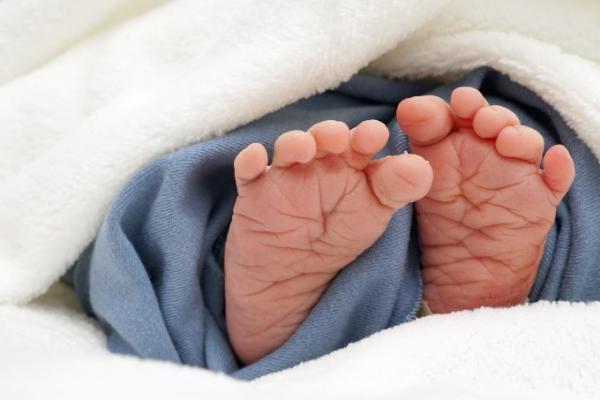Bild zu Endlich ausgekugelt pünktlich zum ET - Forum für Dezember - Mamis