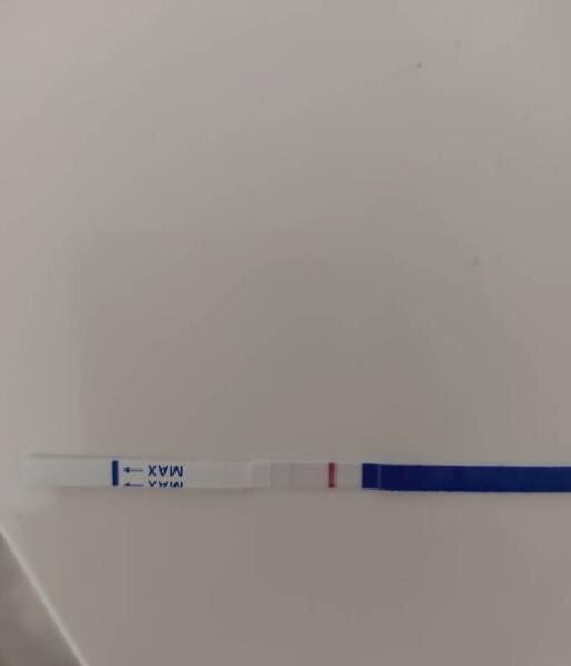 Bild zu Dezemberbaby Test ES+11 - Forum für Dezember - Mamis