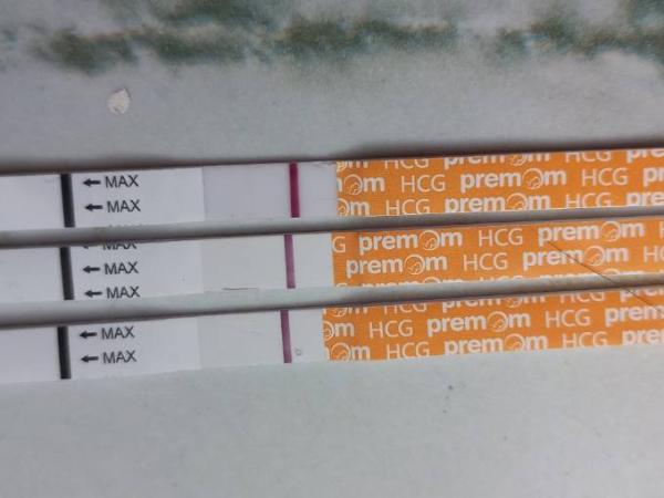 Bild zu Frage zum Premom sst!!! - Forum für Dezember - Mamis