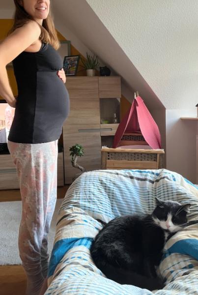 Bild zu 
