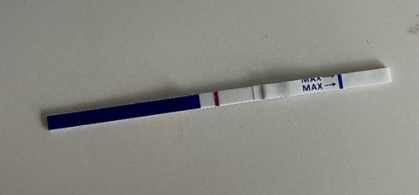 Bild zu ES+8 und ich glaub ich werd verrückt! - Forum für Dezember - Mamis