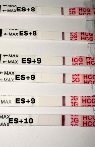 Bild zu Wondfo Frühtest‘s - Forum für Dezember - Mamis