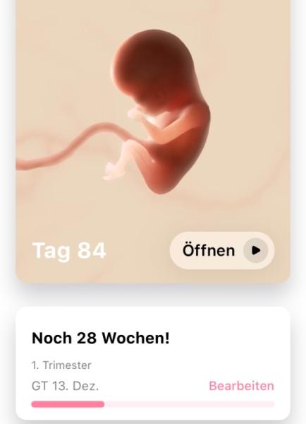 Bild zu Die magische 12 - Forum für Dezember - Mamis