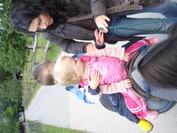 Bild zu 