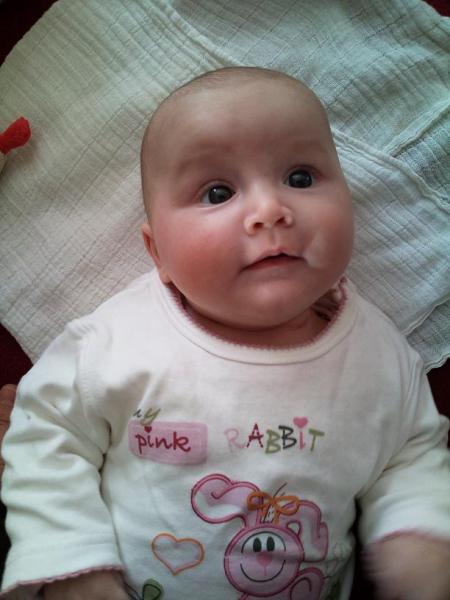 Bild zu 